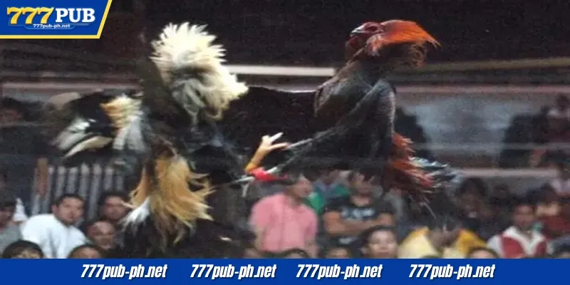 Pamamahala ng pangmatagalang badyet para sa paglalaro